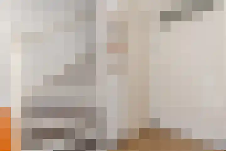 De Vischkom 15 Vleuten thumbnail 33