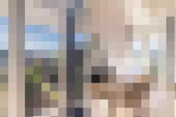 De Vischkom 15 Vleuten thumbnail 38