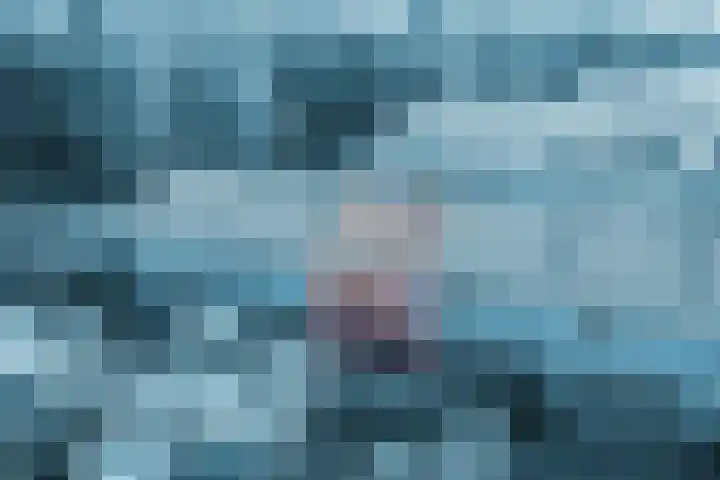 De Vischkom 15 Vleuten thumbnail 4