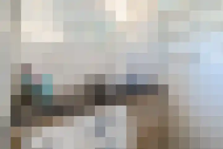 De Vischkom 15 Vleuten thumbnail 51
