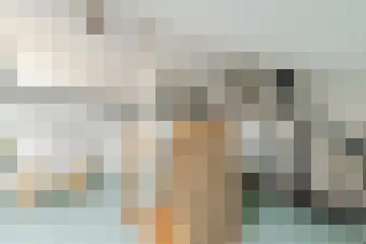De Vischkom 15 Vleuten thumbnail 55