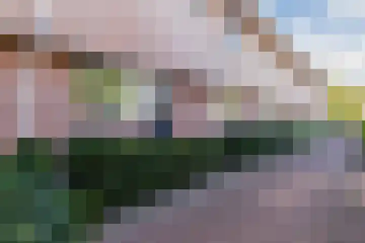 De Vischkom 15 Vleuten thumbnail 56