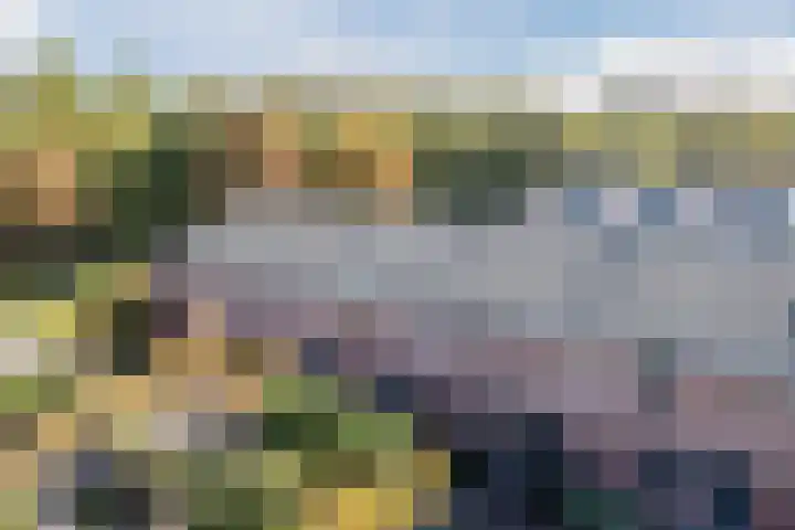 De Vischkom 15 Vleuten thumbnail 58