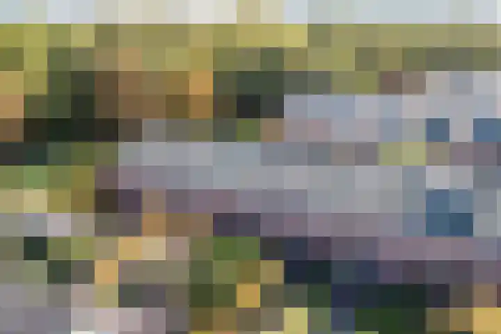 De Vischkom 15 Vleuten thumbnail 59