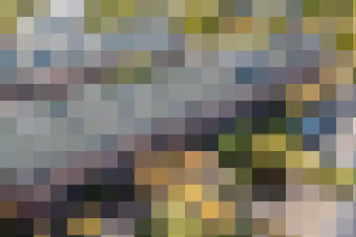 De Vischkom 15 Vleuten thumbnail 60