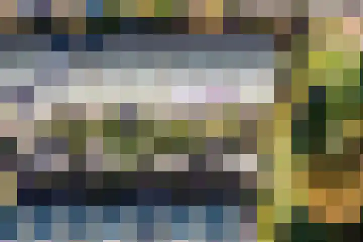 De Vischkom 15 Vleuten thumbnail 61