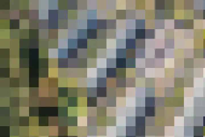 De Vischkom 15 Vleuten thumbnail 62