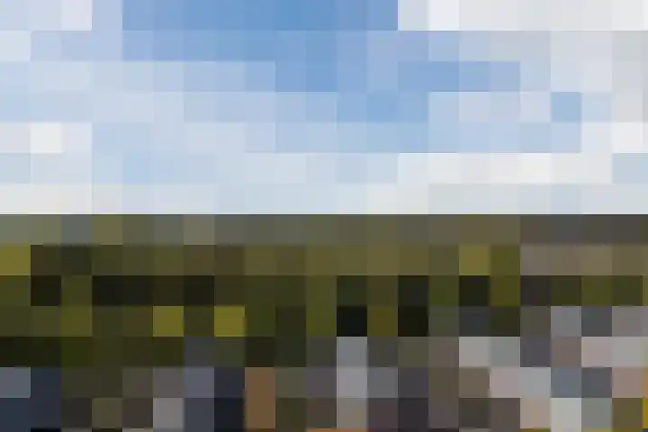 De Vischkom 15 Vleuten thumbnail 63