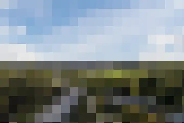 De Vischkom 15 Vleuten thumbnail 64