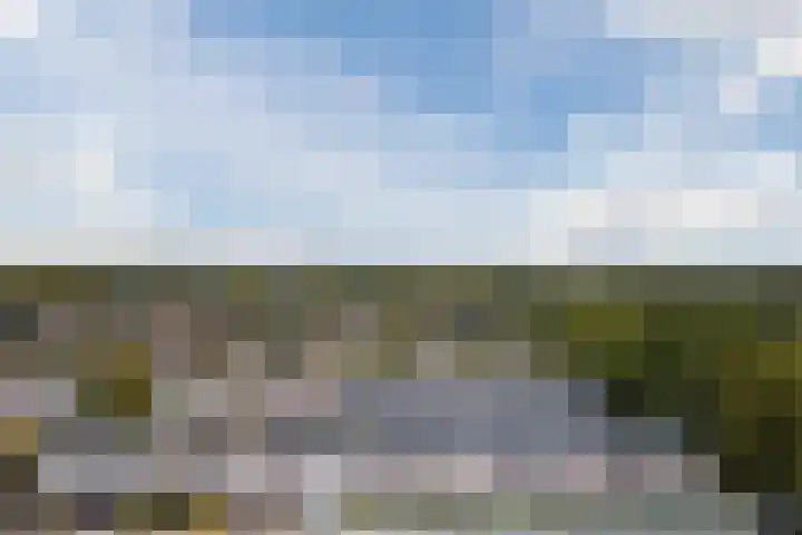 De Vischkom 15 Vleuten thumbnail 65