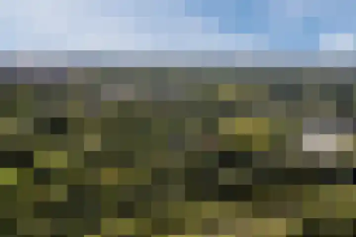 De Vischkom 15 Vleuten thumbnail 66