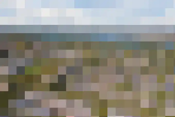 De Vischkom 15 Vleuten thumbnail 67