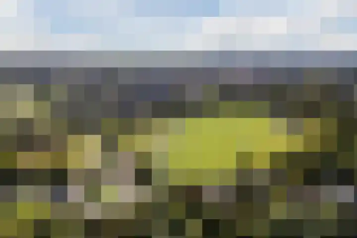De Vischkom 15 Vleuten thumbnail 68