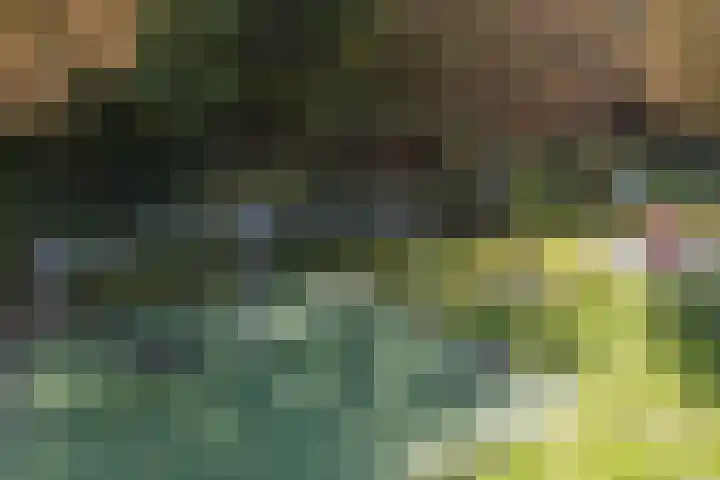 De Vischkom 15 Vleuten thumbnail 69