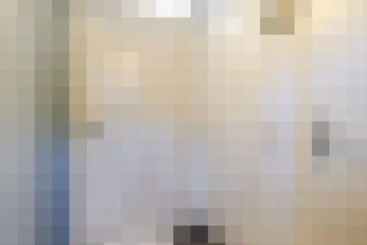 De Vischkom 15 Vleuten thumbnail 7