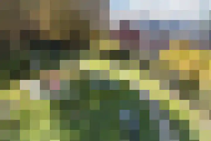De Vischkom 15 Vleuten thumbnail 70