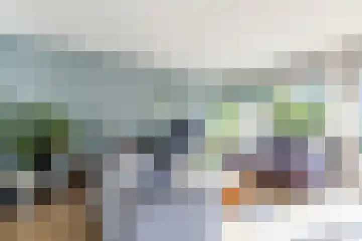 De Vischkom 15 Vleuten thumbnail 9