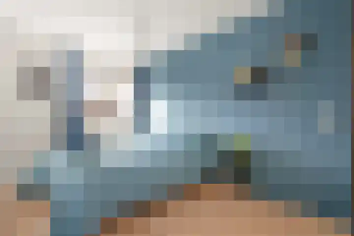 De Vischkom 6 Vleuten thumbnail 18