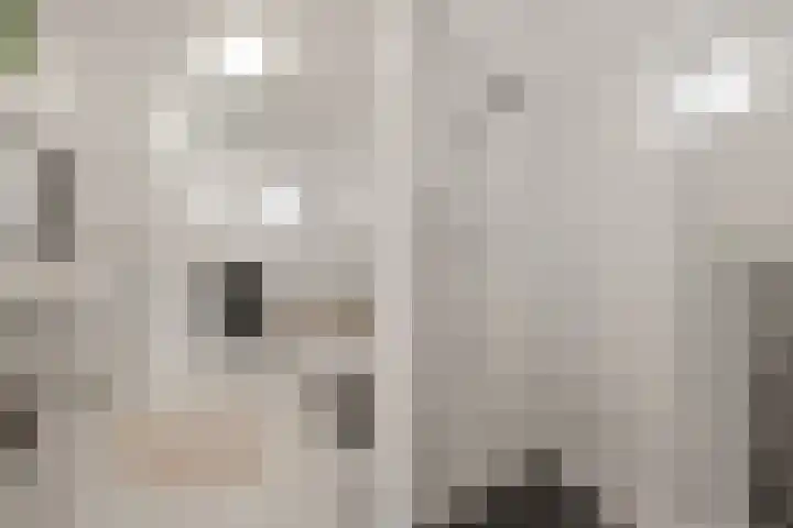De Vischkom 6 Vleuten thumbnail 25