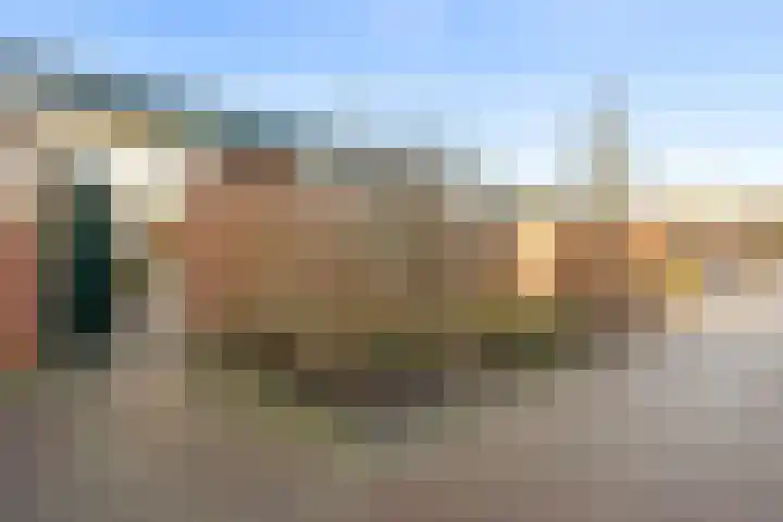 De Vischkom 6 Vleuten thumbnail 35