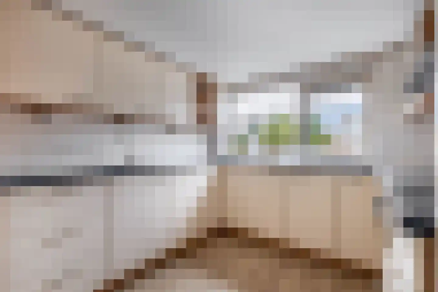 De Visserhoeve 15 Waddinxveen thumbnail 19