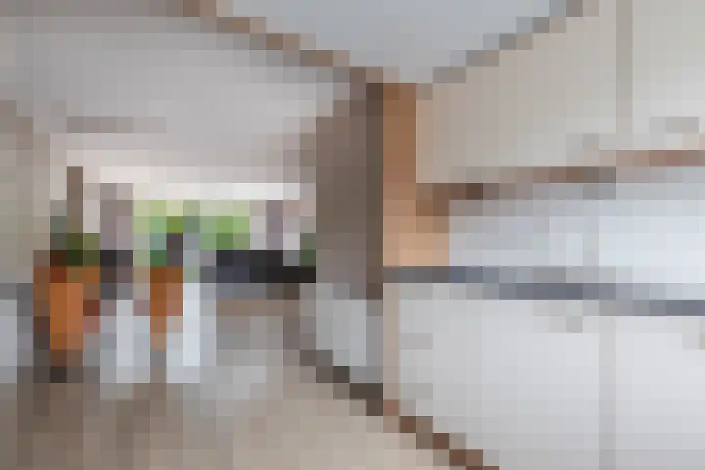 De Visserhoeve 15 Waddinxveen thumbnail 20