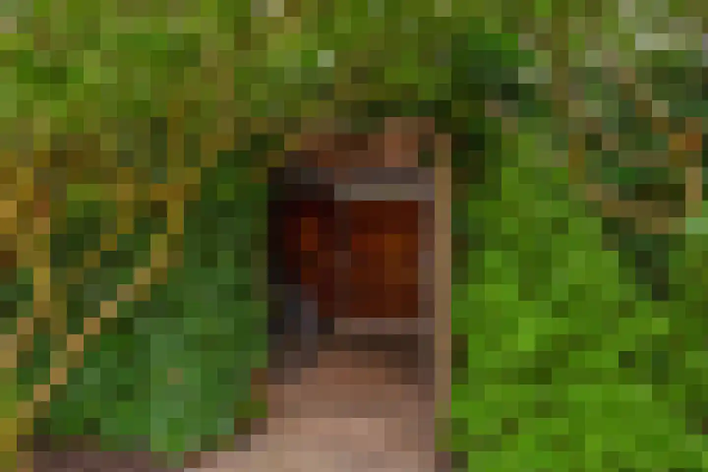 De Visserhoeve 15 Waddinxveen thumbnail 24