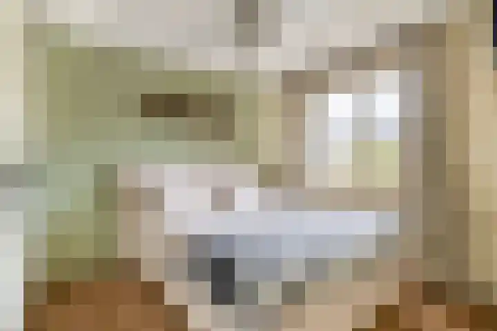 De Visserhoeve 37 Waddinxveen thumbnail 11