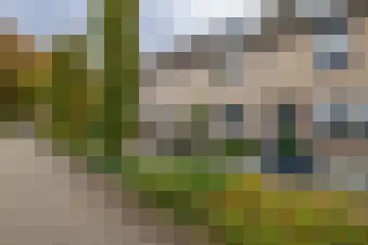 De Visserhoeve 37 Waddinxveen thumbnail 23