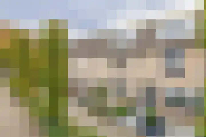 De Visserhoeve 37 Waddinxveen thumbnail 25