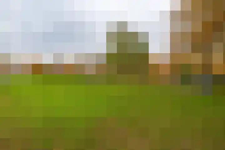 De Visserhoeve 37 Waddinxveen thumbnail 28