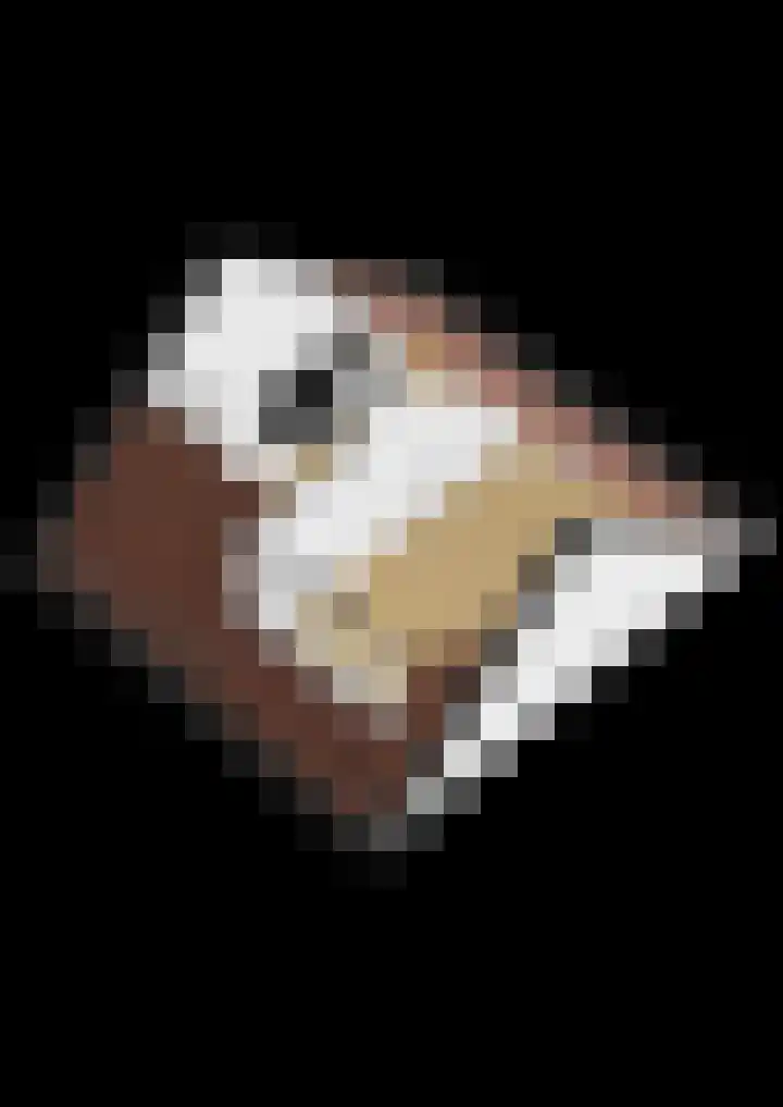 De Visserhoeve 37 Waddinxveen thumbnail 36
