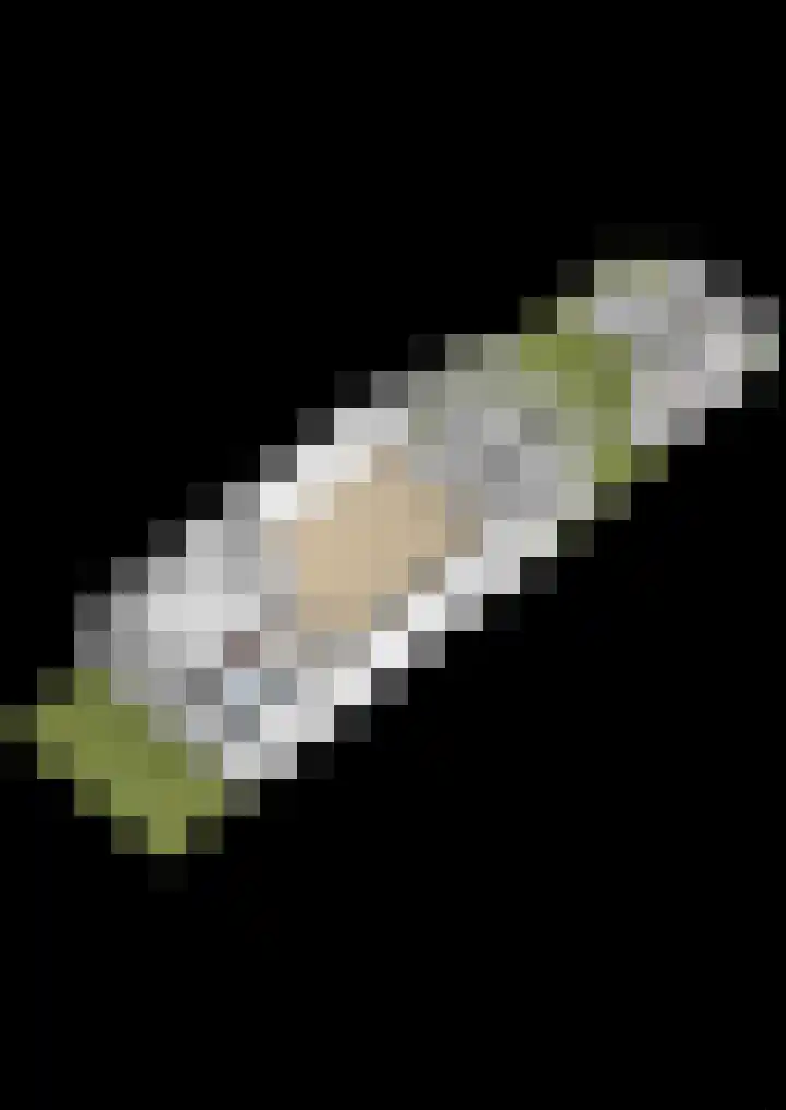 De Visserhoeve 37 Waddinxveen thumbnail 38