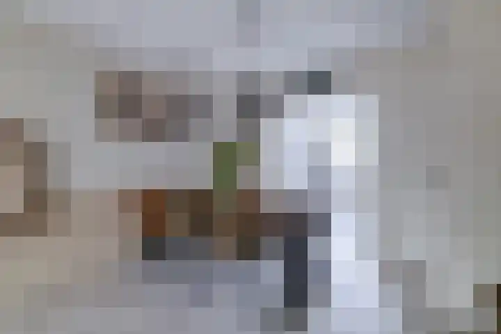 De Visserhoeve 37 Waddinxveen thumbnail 6