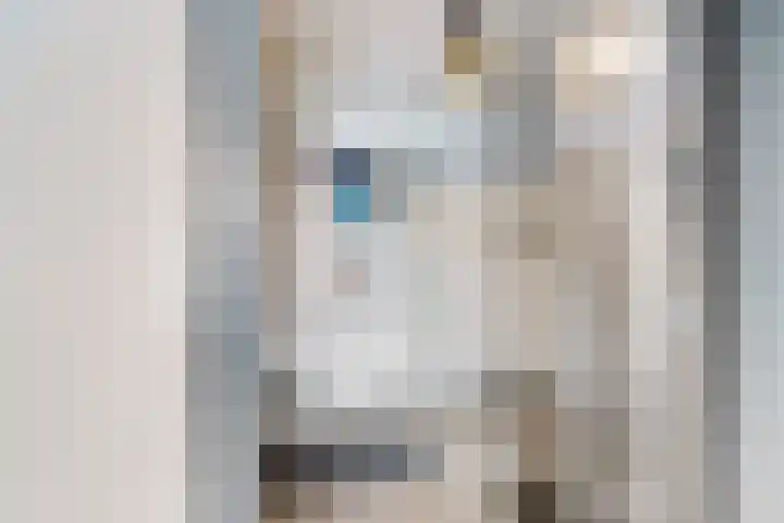 De Visserlaan 18 Hillegom thumbnail 14