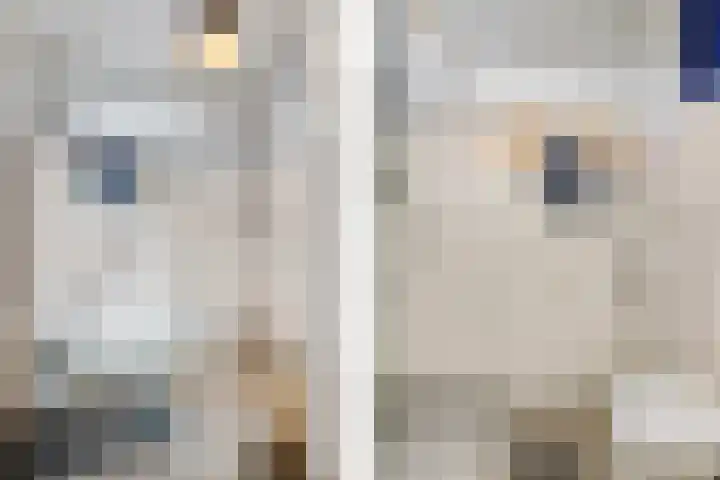 De Visserlaan 18 Hillegom thumbnail 15