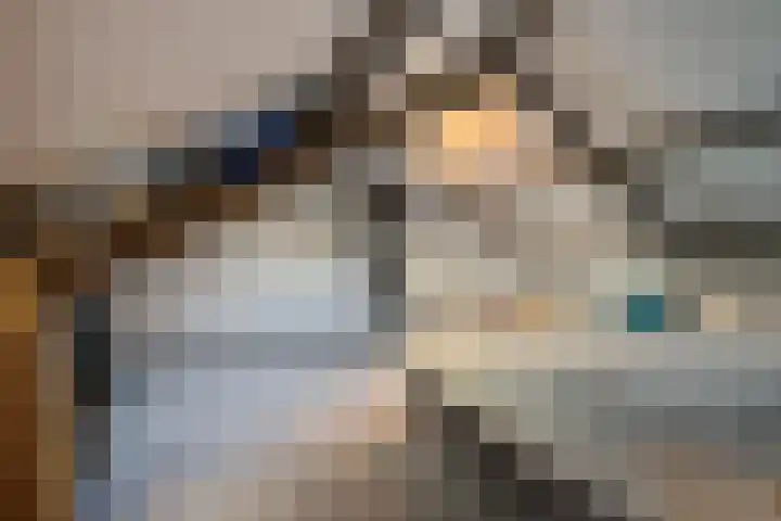 De Visserlaan 18 Hillegom thumbnail 19