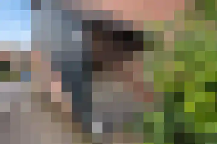 De Visserlaan 18 Hillegom thumbnail 21