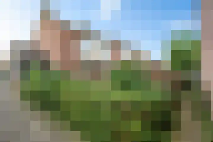 De Visserlaan 18 Hillegom thumbnail 24