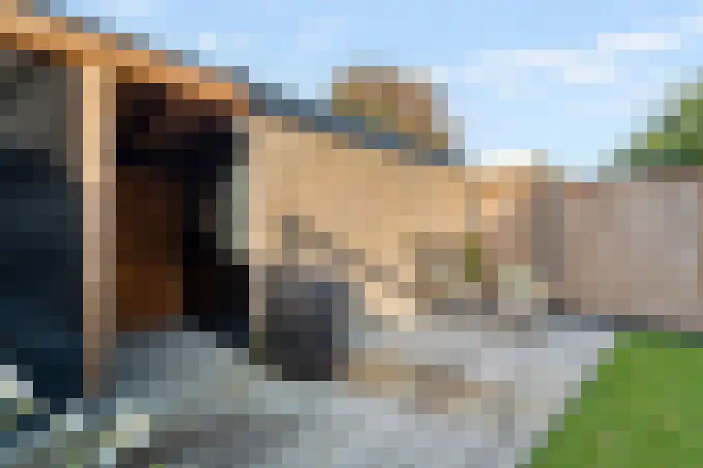 De Visserlaan 19 Nunspeet thumbnail 44