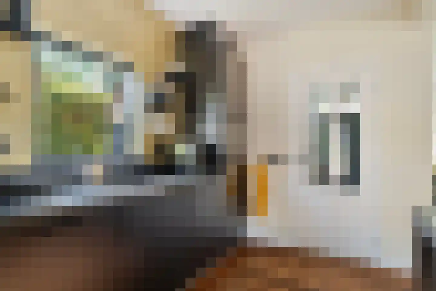 De Visserlaan 24 Nunspeet thumbnail 30