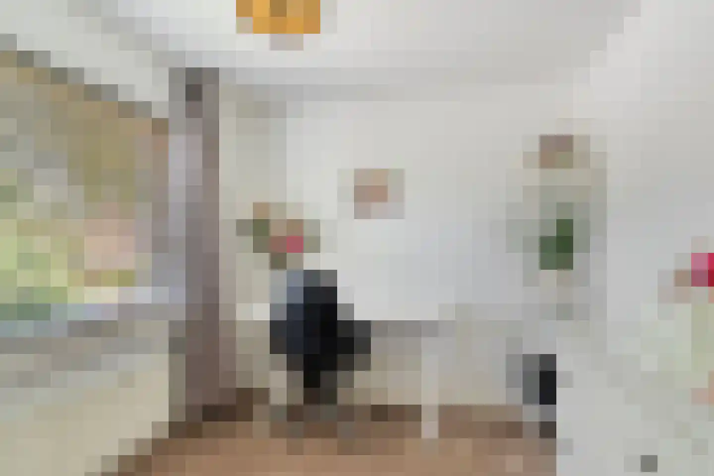 De Visserlaan 24 Nunspeet thumbnail 39