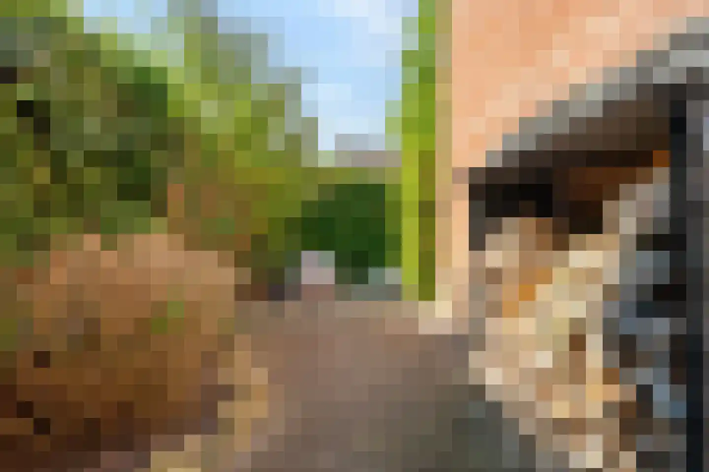 De Visserlaan 24 Nunspeet thumbnail 46