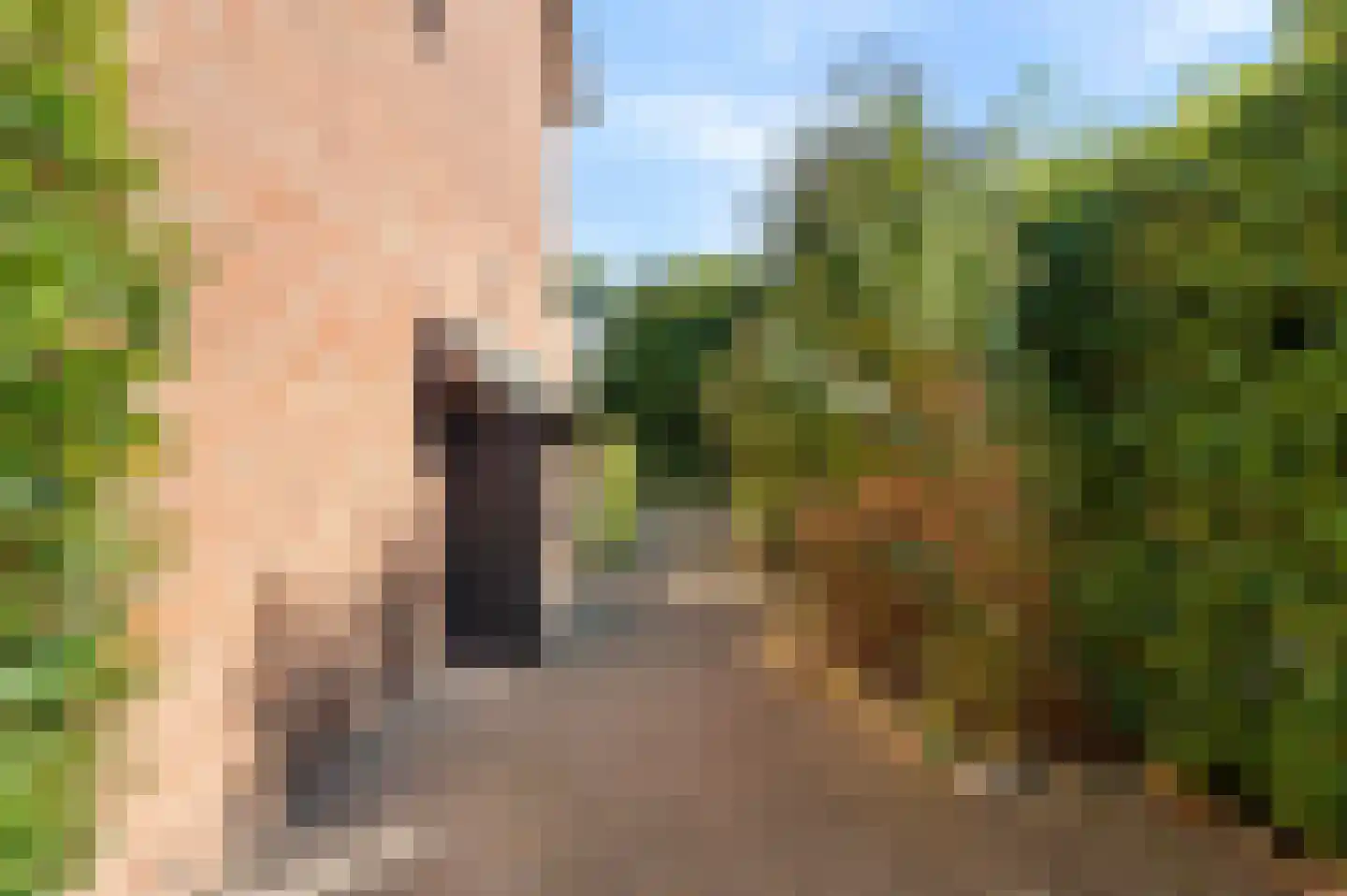 De Visserlaan 24 Nunspeet thumbnail 47