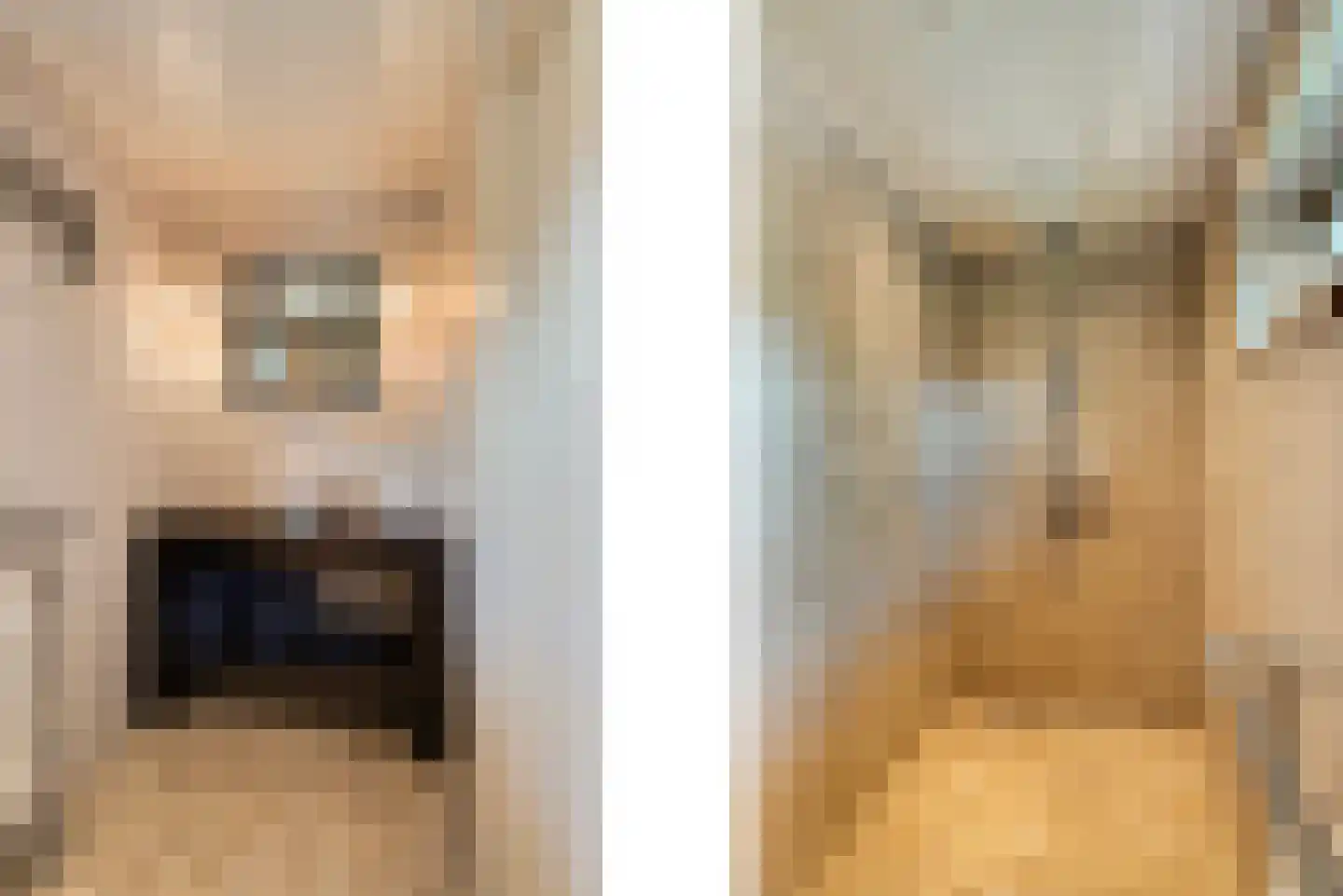 De Visserlaan 24 Nunspeet thumbnail 9