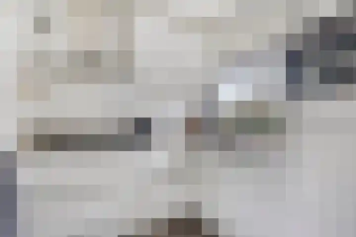 De Visserlaan 27 Hillegom thumbnail 12
