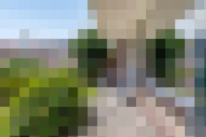 De Visserlaan 27 Hillegom thumbnail 20
