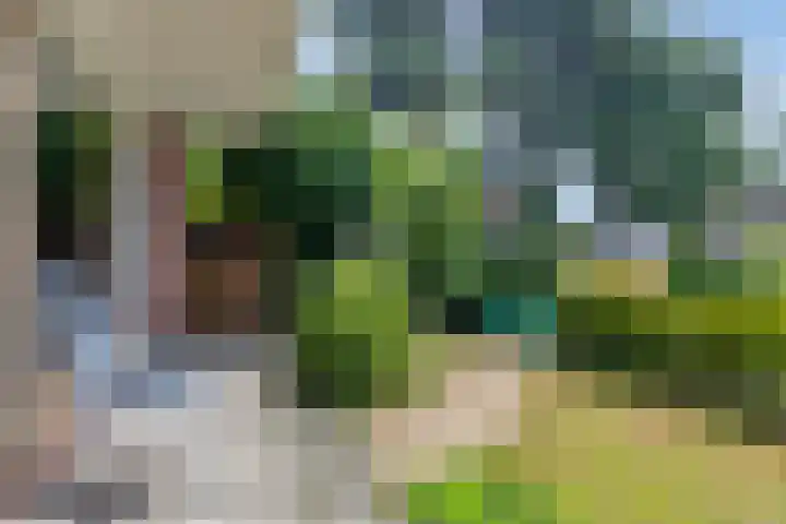 De Visserlaan 27 Hillegom thumbnail 21