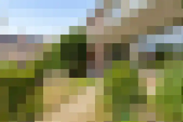De Visserlaan 27 Hillegom thumbnail 23