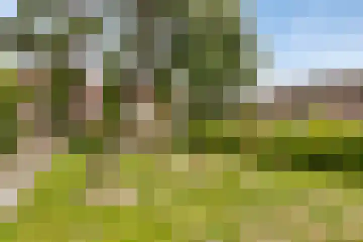 De Visserlaan 27 Hillegom thumbnail 27